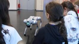 Robotický pes HafiQ iQLANDIA